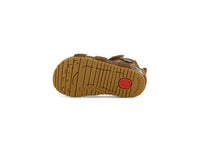 BI25S008-C