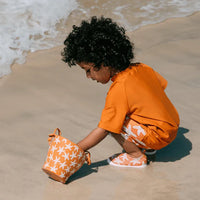 Strandspeeltjes sea stars
