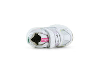 BL26S001-L