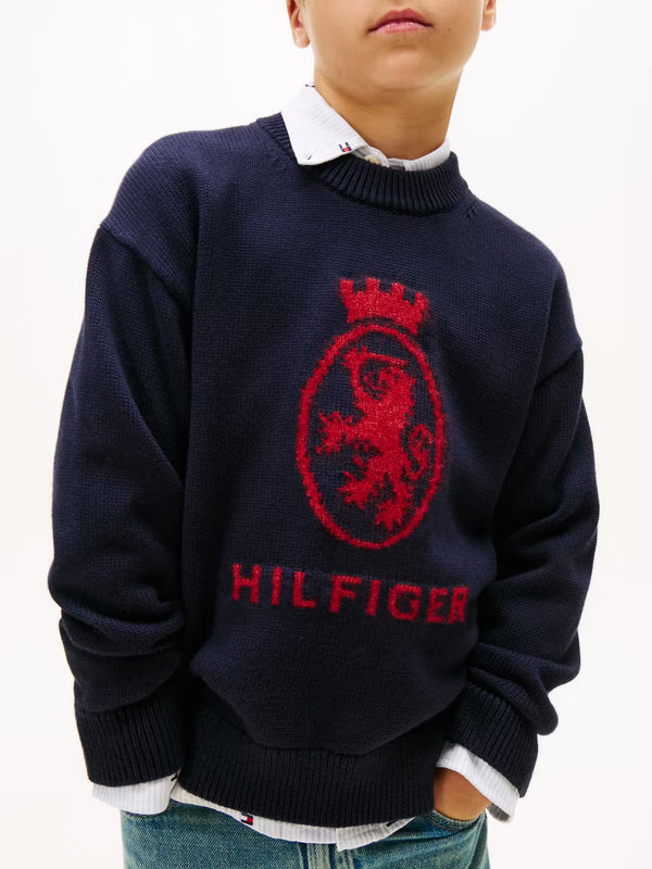 Wool crest crew neck sweater