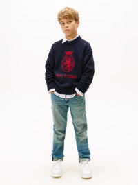 Wool crest crew neck sweater
